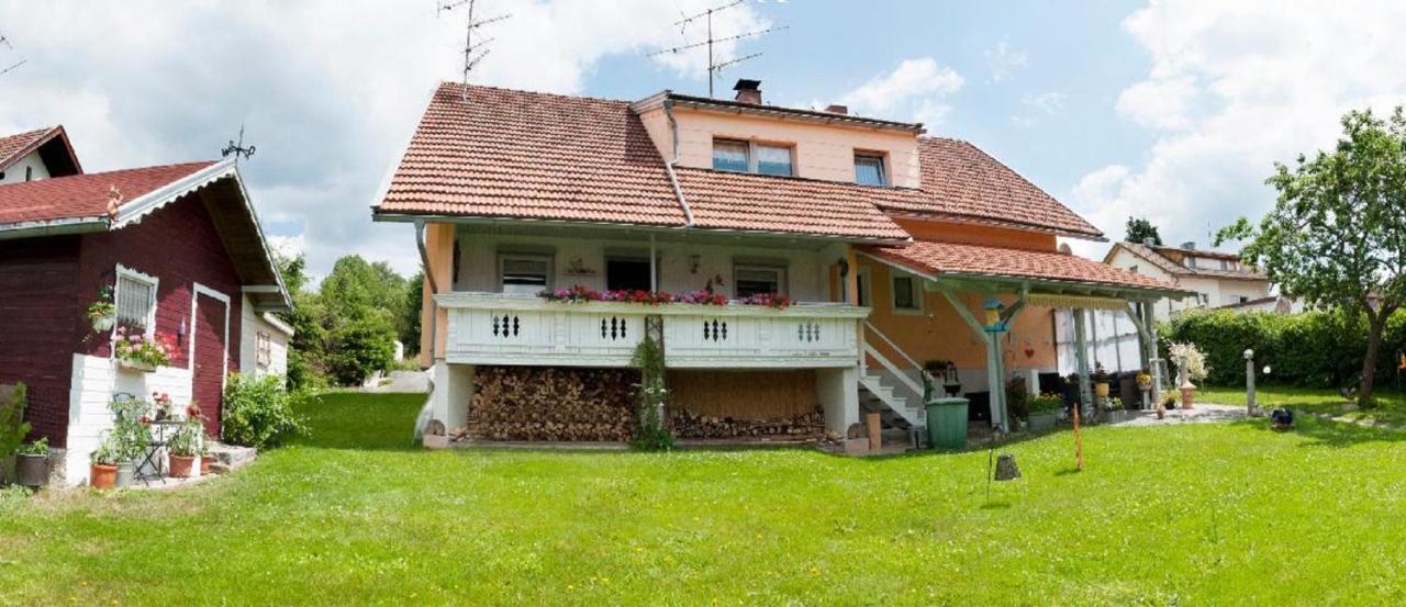 Ferienwohnung Winterstetter Am Waldglasgarten Sankt Oswald-Riedlhuette Exterior photo